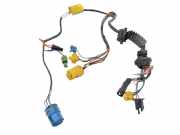 Türverkabelung hinten links JAGUAR XJ (XJ40, XJ81) 6 4.0 DBC6126