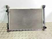 Kühlkörper MERCEDES-BENZ A (W169) A 180 CDI (169.007, 169.307) A1695000703