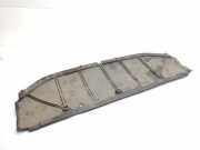 Stoßstangenabdeckung vorne Nissan Qashqai (J10) 75892BR00A