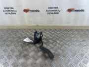 Fahrpedal Renault Grand Scenic II (JM) 8200159647