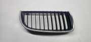 Vorderer oberer Gitter BMW 3 (E90) 318 i 22405910