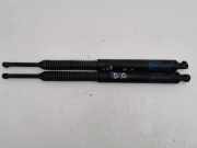 Heckklappe Gasdruckfeder links BMW 5 Touring (F11) 518 d 720701107
