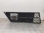 Gitter vorne unten BMW 5 Touring (E61) 525 d 5111717811202 7178112