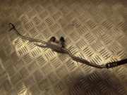 Klimaleitung LAND ROVER DISCOVERY III (L319) 2.7 TD 4x4