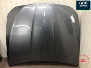 Motorhaube BMW 5er (F10) 41617207194