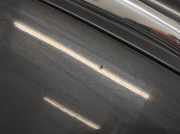 Motorhaube Citroen Xsara Picasso (N68)