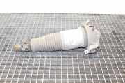 Stoßdämpfer links hinten Audi Q7 (4L) 7L8616019