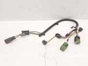 Kabelbaum Peugeot 307 Break () 9650510880
