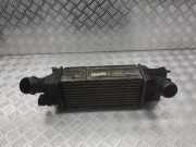 Ladeluftkühler Peugeot 407 Coupe () 9645682880