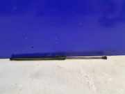 Gasfeder für Motorhaube Lexus RX 4 (L2) 534400E070A