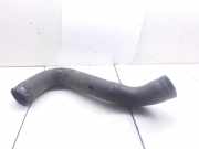 Schlauch Kühlung NISSAN ALMERA TINO (V10) 2.2 dCi