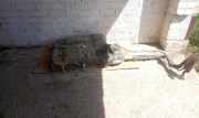 Tank Peugeot Traveller Bus (V) 9813706880