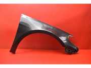 Kotflügel rechts vorne VW Passat B6 CC (357)