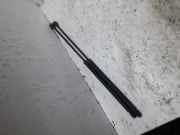 Heckklappe Gasdruckfeder links VW BEETLE (9C1, 1C1) 1.8 T