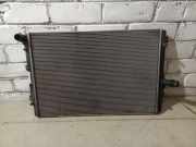 Kühler VW Passat B6 (3C2) 3C0121253AL