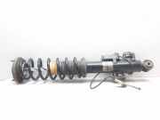 Stoßdämpfer hinten rechts BMW 5 (F10) 530 d 37126796860