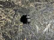 Air Circulation Switch MERCEDES-BENZ C (W202) C 280 (202.028) 02805310