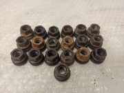 Schrauben FORD TRANSIT Furgon 2.0 TDCi