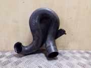 Luftansaugrohr NISSAN X-TRAIL (T30) 2.2 dCi 4x4