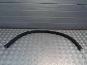 Kotflügelzierleiste hinten links BMW X6 (E71, E72) xDrive 50 i 7176329 51127176329
