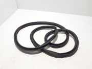 Türdichtung Renault Grand Scenic III (JZ) 908301074R