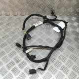 Kabelbaum Hinteren Parksensoren FORD PUMA (J2K, CF7) 1.0 EcoBoost mHEV M1TT-15K868-EBC