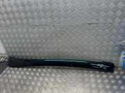 Zierleiste Windschutzscheibe Frontscheibe