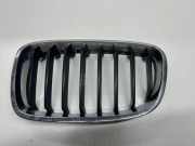 Vorderer oberer Gitter BMW 1 (F20) 118 d xDrive 723902