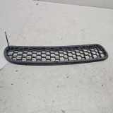 Vorderer oberer Gitter MINI COOPER (R50, R53) Cooper S
