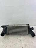 Ladeluftkühler PEUGEOT 407 Coupe (6C_) 2.7 HDi 874823NK 9645682880
