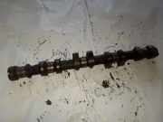 Auslassnockenwelle FIAT STILO (192_) 1.9 JTD (192_XE1A)