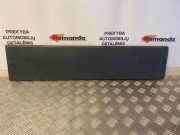 Türverkleidung rechts hinten Fiat Ducato Kasten (244) 1305774070