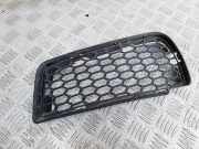 Gitter Grill vorne rechts BMW 6 Coupe (F13) M6 51118050506