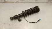 Stoßdämpfer hinten links BMW X3 (G01, F97) xDrive 30 i 6887148