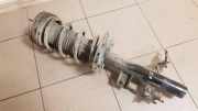Stoßdämpfer hinten links LAND ROVER RANGE ROVER EVOQUE (L538) 2.2 D 4x4