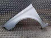 Kotflügel vorne links RENAULT LAGUNA II (BG0/1_) 1.9 dCi (BG08, BG0G)