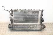 Kühler Ford S-Max I (WA6)