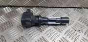 Zündspule MAZDA 5 (CR19) 2.0 LFB618100 0997000981