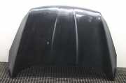 Motorhaube Ford Kuga II (DM2)