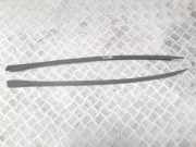 Zierleiste Windschutzscheibe Frontscheibe OPEL CORSA C (F08, F68) 1.2 Twinport 013106283 316219989