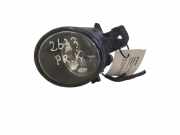 Nebelscheinwerfer links RENAULT KOLEOS I (HY_) 2.0 dCi 4x4 (HY0K) 89206431