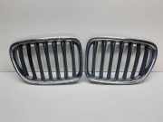 Vorderer oberer Gitter BMW X1 (E84) xDrive 18 d 2993308