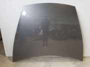 Motorhaube Porsche Cayenne 1 (9PA)