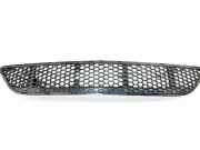 Gitter vorne unten MERCEDES-BENZ CL (C216) CL 500 (216.371) A2168850953
