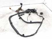 Türverkabelung hinten links RENAULT KOLEOS I (HY_) 2.0 dCi 4x4 (HY0K) 24126JY40B