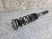 Stoßdämpfer links hinten BMW 5er (F10) 6855966