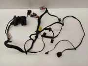 Kabel der vorderen linken Tür SEAT LEON (1P1) 1.8 TSI 1P1971120F