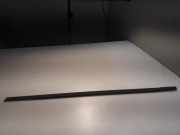 Fensterleiste Tür vorne links FORD GALAXY III (CK) 2.0 TDCi 2117202