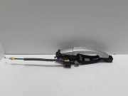 Türaußengriff hinten links FORD C-MAX II (DXA/CB7, DXA/CEU) 2.0 TDCi