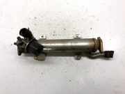 Abgaskühler VW Passat B7 Alltrack (36, B7) 03L131512B